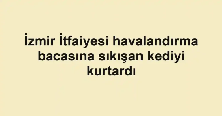 İzmir İtfaiyesi havalandırma bacasına sıkışan kediyi kurtardı