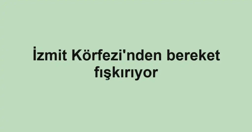 İzmit Körfezi'nden bereket fışkırıyor