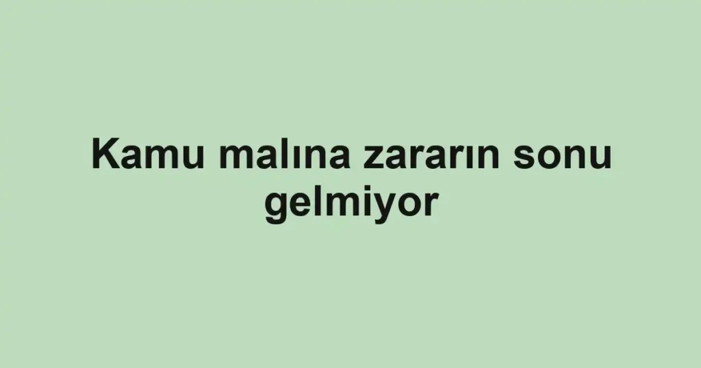 Kamu malına zararın sonu gelmiyor