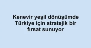Kenevir yeşil dönüşümde Türkiye için stratejik bir fırsat sunuyor