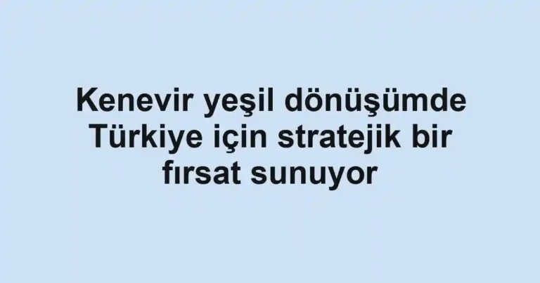 Kenevir yeşil dönüşümde Türkiye için stratejik bir fırsat sunuyor