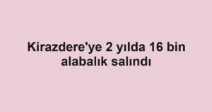 Kirazdere'ye 2 yılda 16 bin alabalık salındı