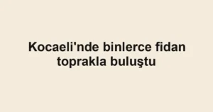 Kocaeli'nde binlerce fidan toprakla buluştu