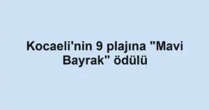 Kocaeli'nin 9 plajına "Mavi Bayrak" ödülü