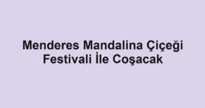 Menderes Mandalina Çiçeği Festivali İle Coşacak