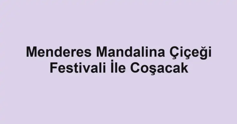 Menderes Mandalina Çiçeği Festivali İle Coşacak