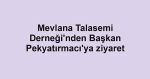 Mevlana Talasemi Derneği'nden Başkan Pekyatırmacı'ya ziyaret