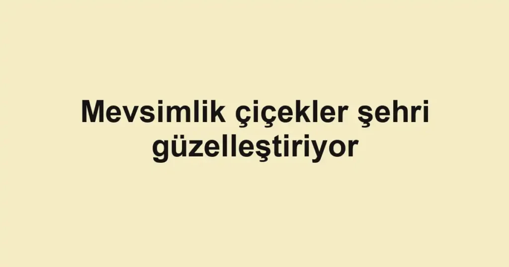 Mevsimlik çiçekler şehri güzelleştiriyor