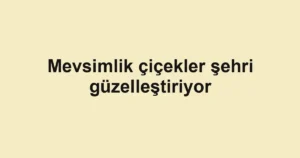 Mevsimlik çiçekler şehri güzelleştiriyor