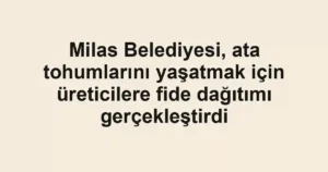Milas Belediyesi, ata tohumlarını yaşatmak için üreticilere fide dağıtımı gerçekleştirdi
