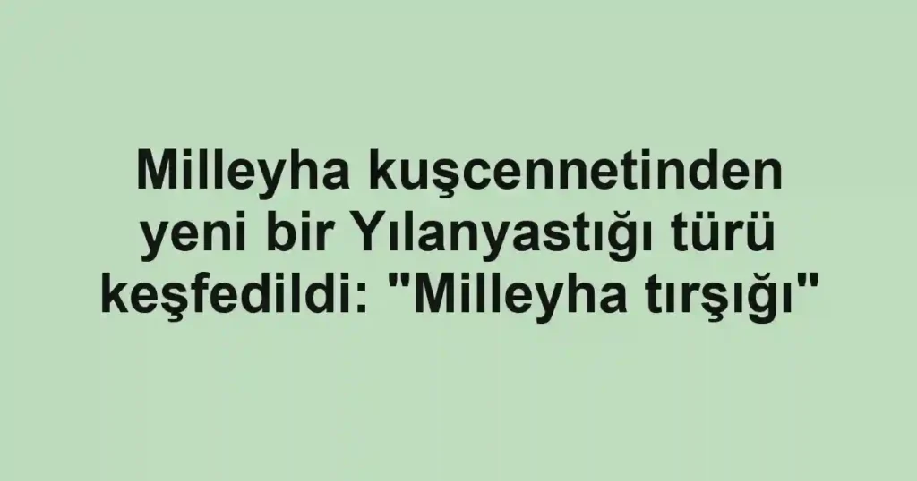 Milleyha kuşcennetinden yeni bir Yılanyastığı türü keşfedildi: "Milleyha tırşığı"