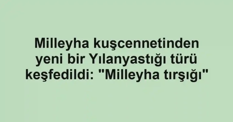 Milleyha kuşcennetinden yeni bir Yılanyastığı türü keşfedildi: "Milleyha tırşığı"