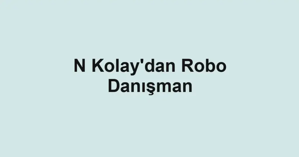 N Kolay'dan Robo Danışman