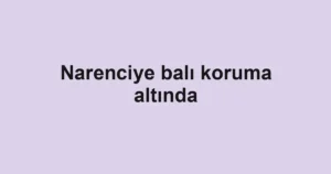 Narenciye balı koruma altında
