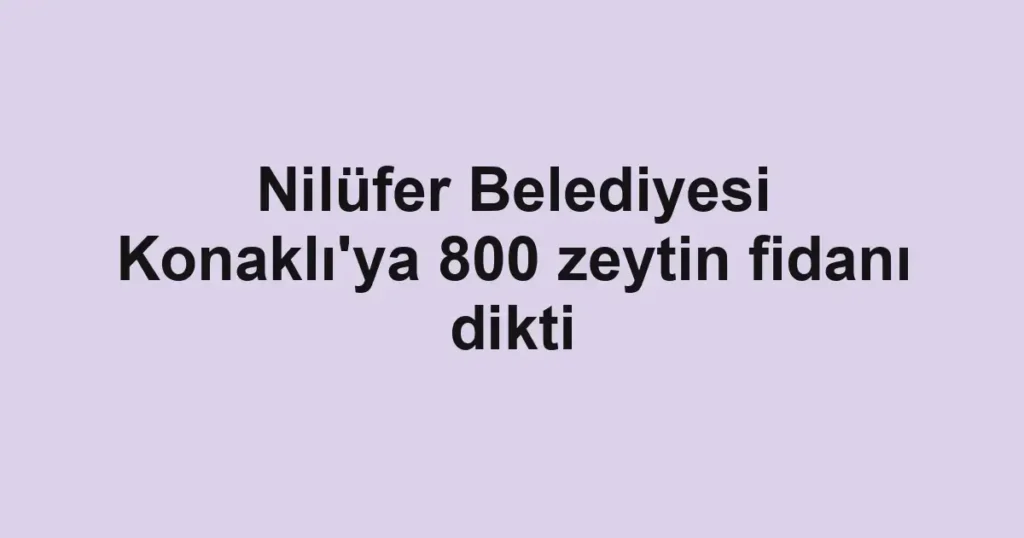Nilüfer Belediyesi Konaklı'ya 800 zeytin fidanı dikti