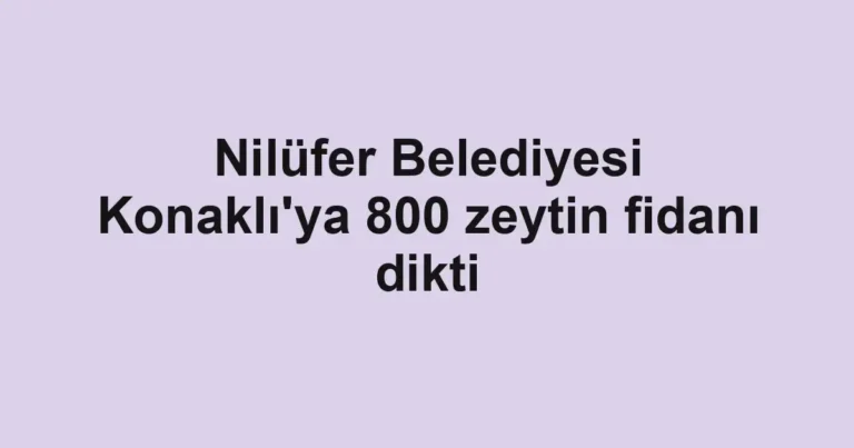 Nilüfer Belediyesi Konaklı'ya 800 zeytin fidanı dikti
