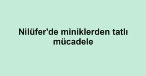 Nilüfer'de miniklerden tatlı mücadele