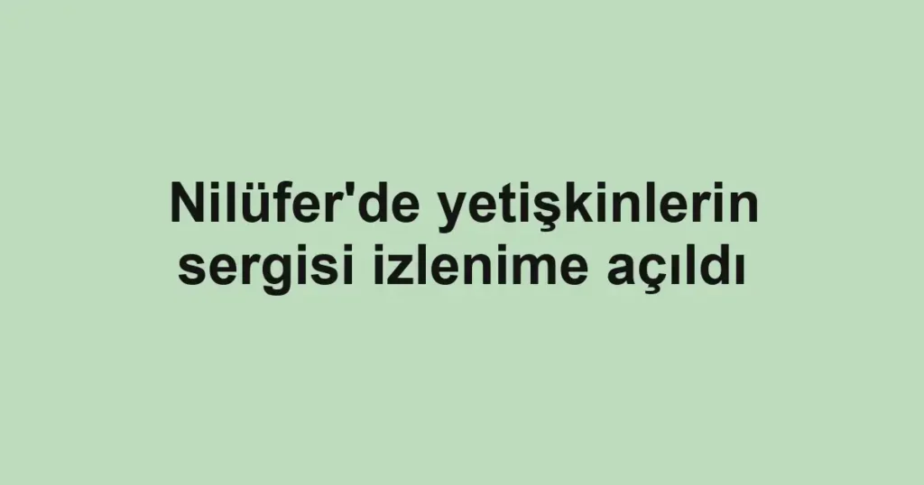 Nilüfer'de yetişkinlerin sergisi izlenime açıldı