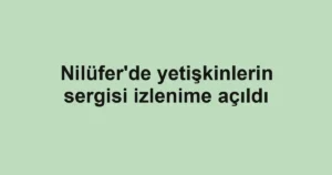 Nilüfer'de yetişkinlerin sergisi izlenime açıldı
