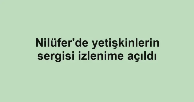 Nilüfer'de yetişkinlerin sergisi izlenime açıldı