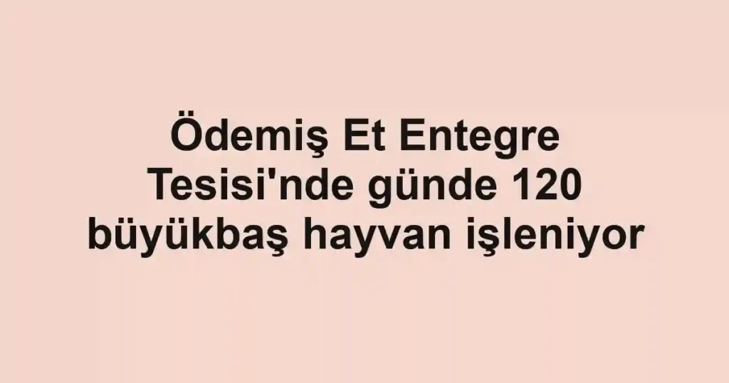 Ödemiş Et Entegre Tesisi'nde günde 120 büyükbaş hayvan işleniyor