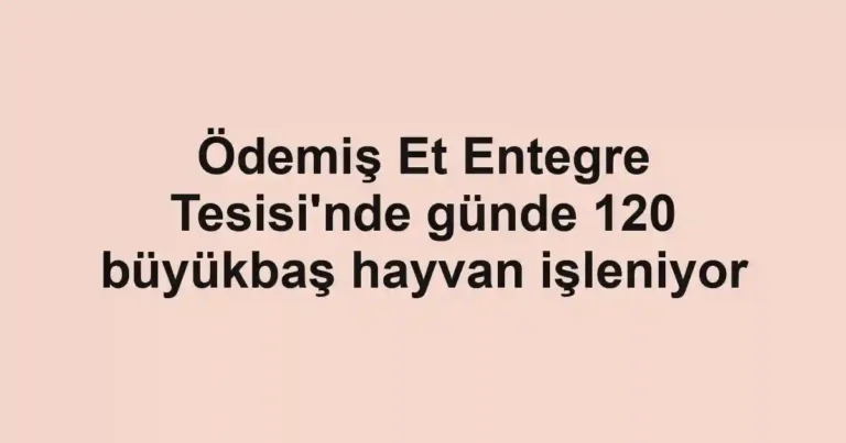 Ödemiş Et Entegre Tesisi'nde günde 120 büyükbaş hayvan işleniyor