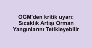 OGM'den kritik uyarı: Sıcaklık Artışı Orman Yangınlarını Tetikleyebilir