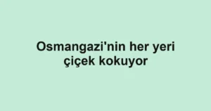 Osmangazi'nin her yeri çiçek kokuyor