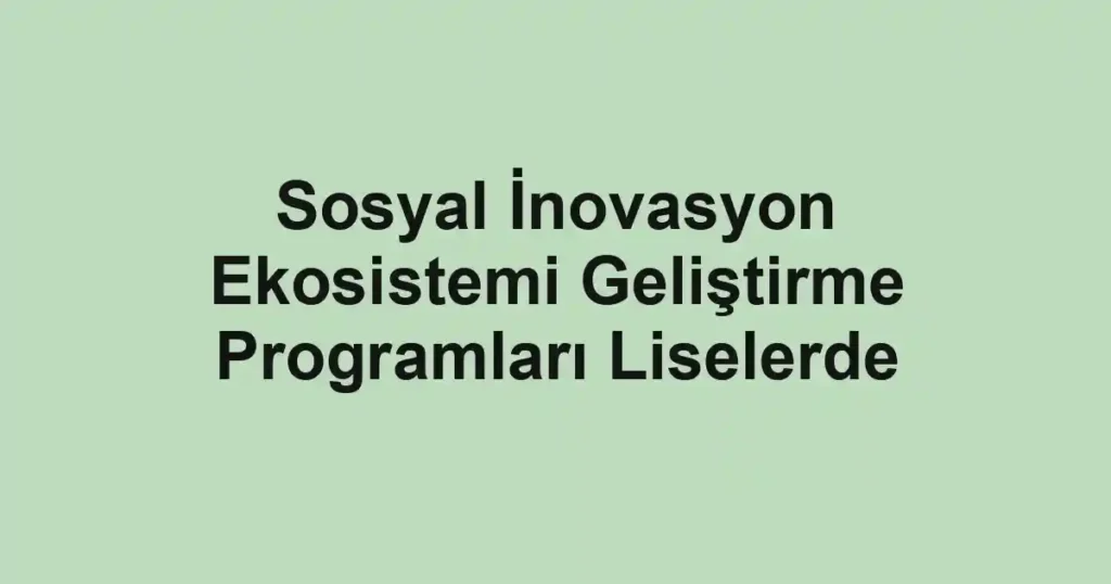 Sosyal İnovasyon Ekosistemi Geliştirme Programları Liselerde