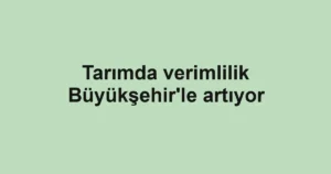 Tarımda verimlilik Büyükşehir'le artıyor