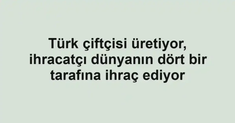 Türk çiftçisi üretiyor, ihracatçı dünyanın dört bir tarafına ihraç ediyor
