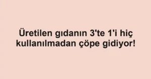 Üretilen gıdanın 3'te 1'i hiç kullanılmadan çöpe gidiyor!