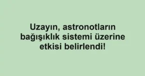 Uzayın, astronotların bağışıklık sistemi üzerine etkisi belirlendi!