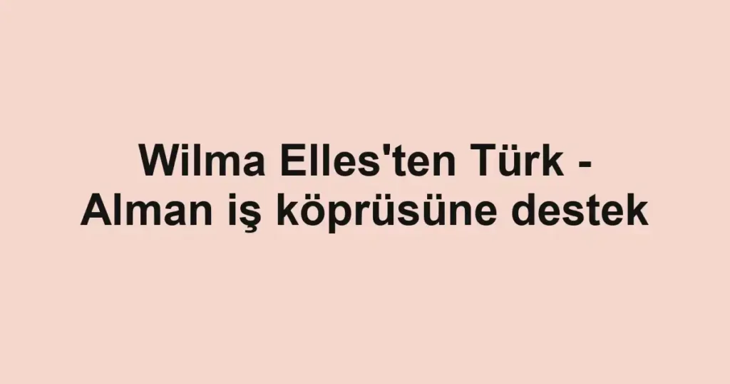 Wilma Elles'ten Türk - Alman iş köprüsüne destek
