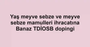 Yaş meyve sebze ve meyve sebze mamulleri ihracatına Banaz TDİOSB dopingi