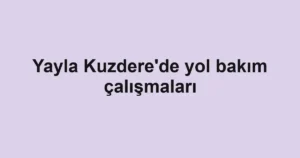 Yayla Kuzdere'de yol bakım çalışmaları